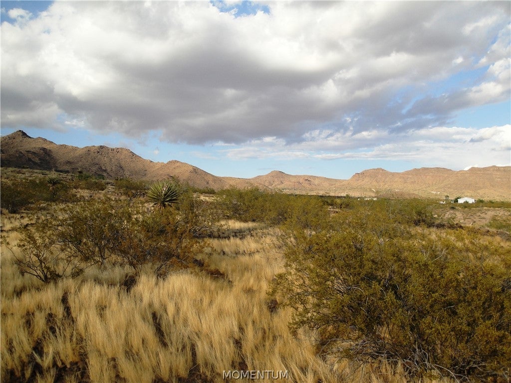 417 Klagetoh Road Golden Valley, AZ 86413 - Photo 10 of 14 Gallery Image 10