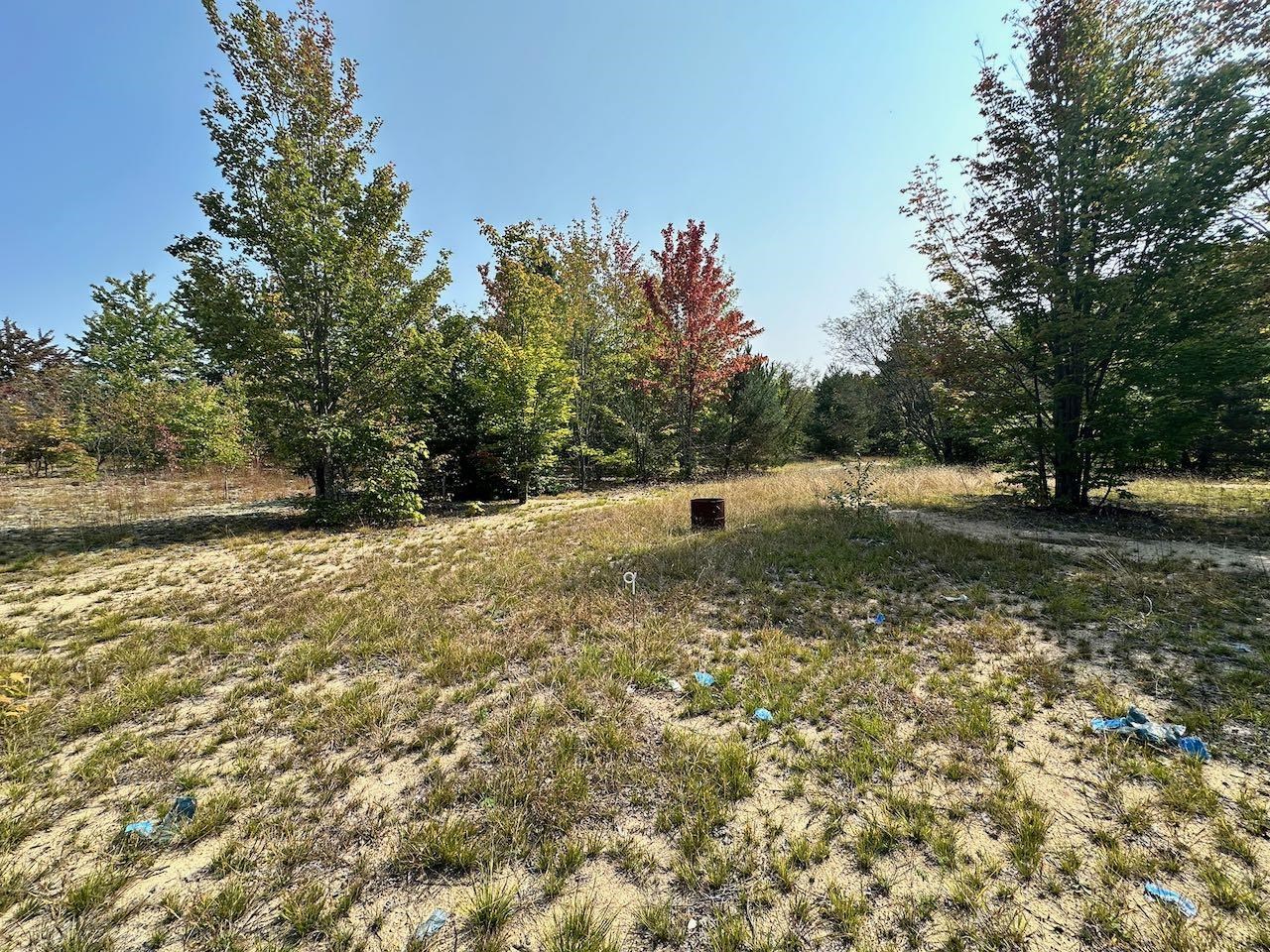 2519 Lee Derrer Road Mancelona, MI 49659 - Photo 25 of 42 Gallery Image 25