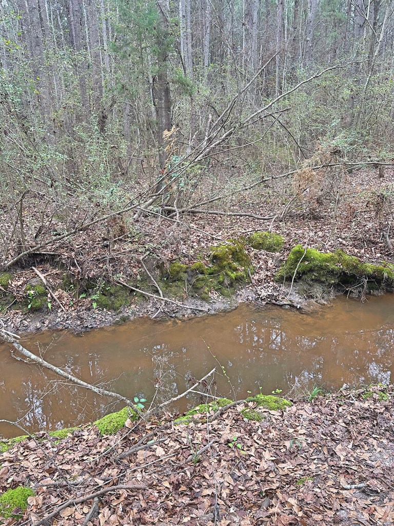0 Freddie Whiddon Road Webb, AL 36376 - Photo 6 of 17