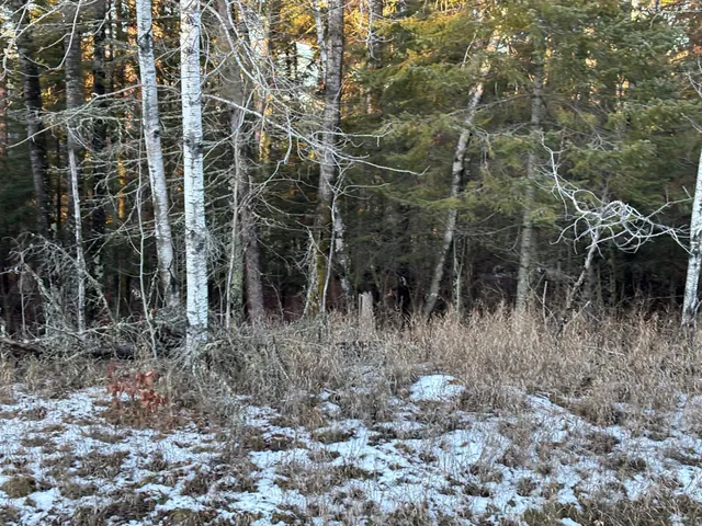 $65,000 | 47 Northwest St Longville Mn 56655, Longville, MN 56655