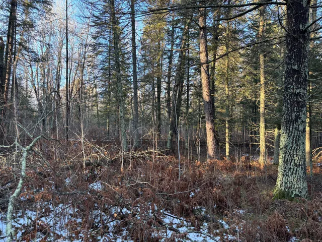 $65,000 | 47 Northwest St Longville Mn 56655, Longville, MN 56655