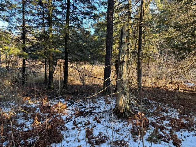 $65,000 | 47 Northwest St Longville Mn 56655, Longville, MN 56655