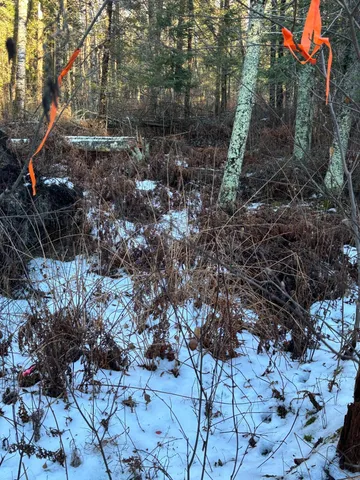 $65,000 | 47 Northwest St Longville Mn 56655, Longville, MN 56655