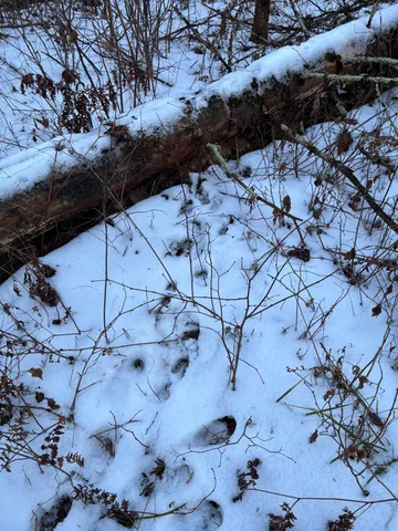 $65,000 | 47 Northwest St Longville Mn 56655, Longville, MN 56655