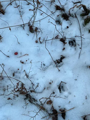 $65,000 | 47 Northwest St Longville Mn 56655, Longville, MN 56655