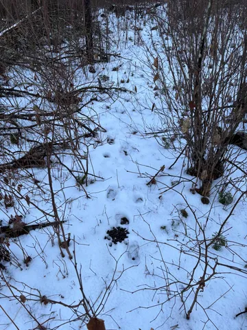 $65,000 | 47 Northwest St Longville Mn 56655, Longville, MN 56655