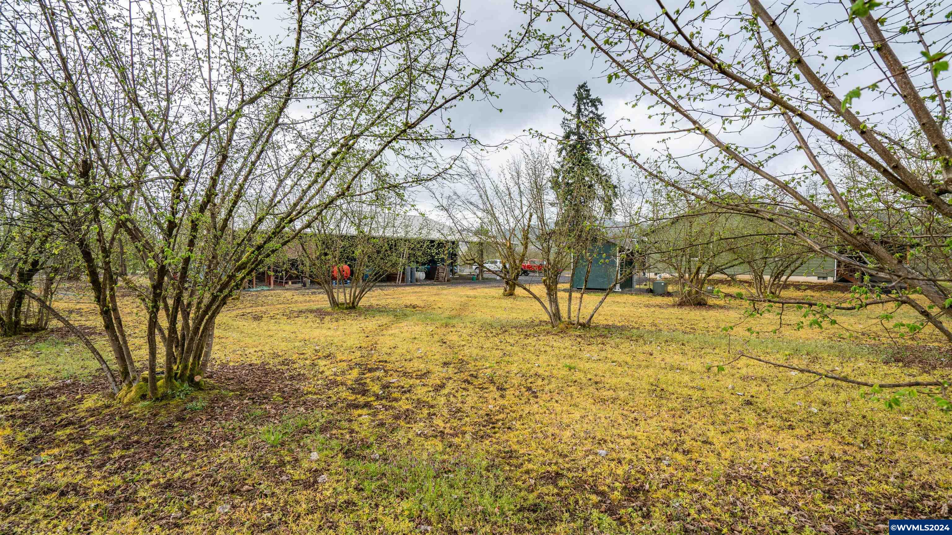 37082 Goats Road Springfield, OR 97478 - Photo 29 of 35