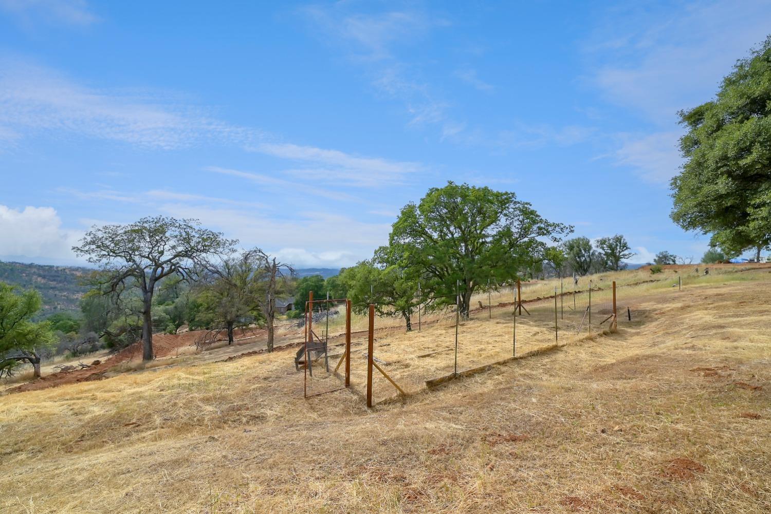 13680 Jessica Way Browns Valley, CA 95918 - Photo 66 of 73 Fenced Fruit tree orchard.