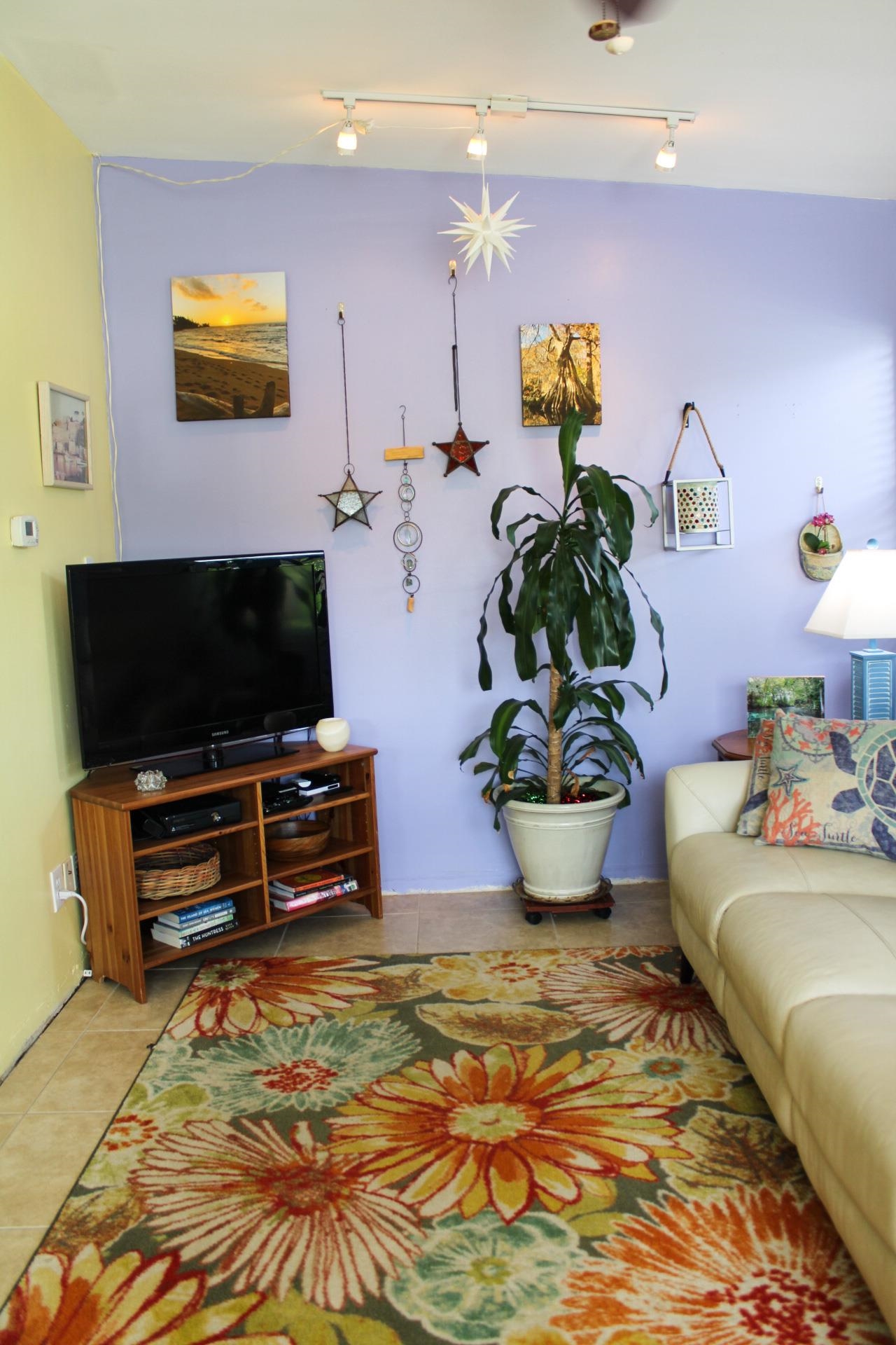 248 Spring Street St. Augustine, FL 32084 - Photo 16 of 50 a bedroom with furniture and a flat screen tv
