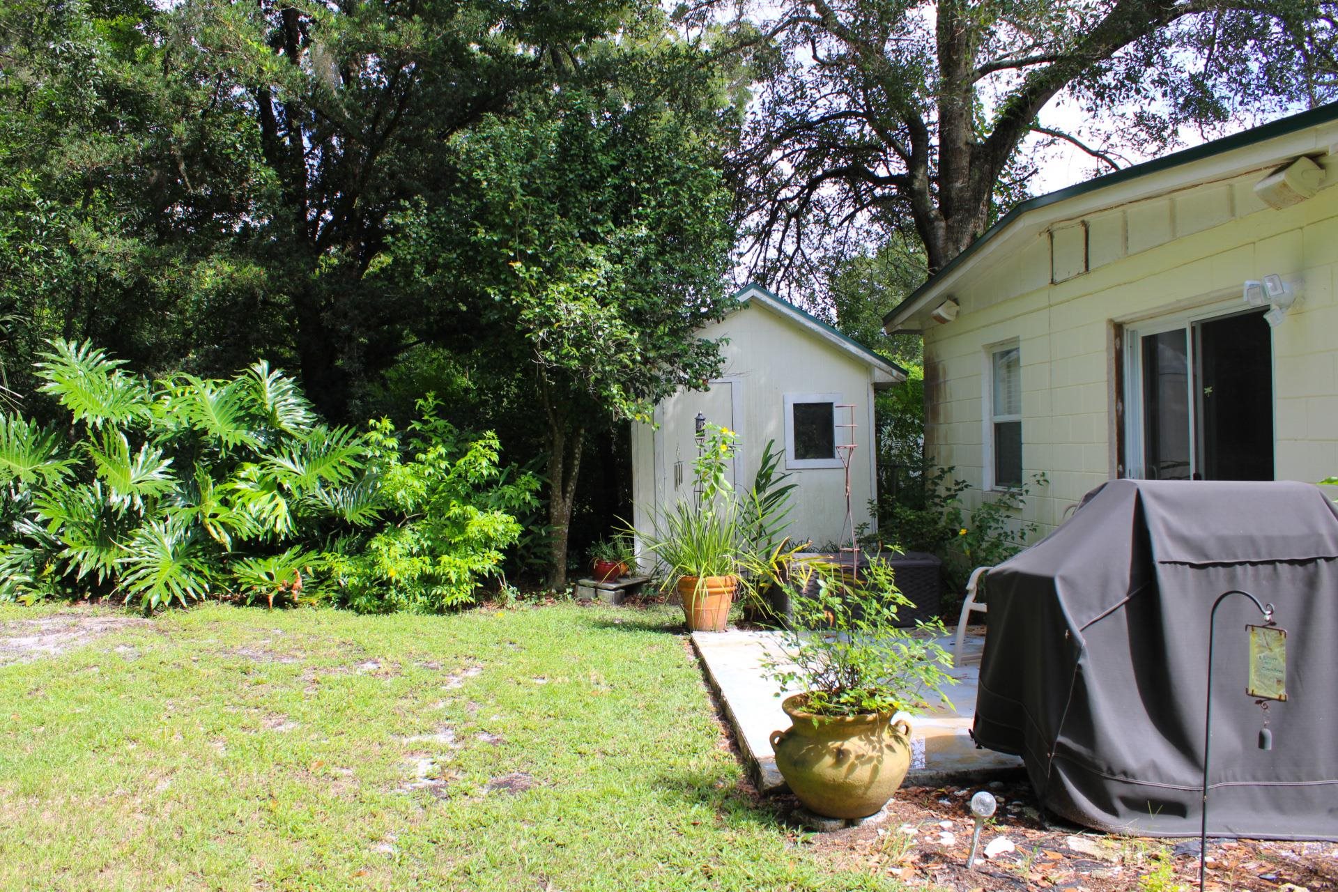 248 Spring Street St. Augustine, FL 32084 - Photo 33 of 50 a view of a backyard with plants and a large tree