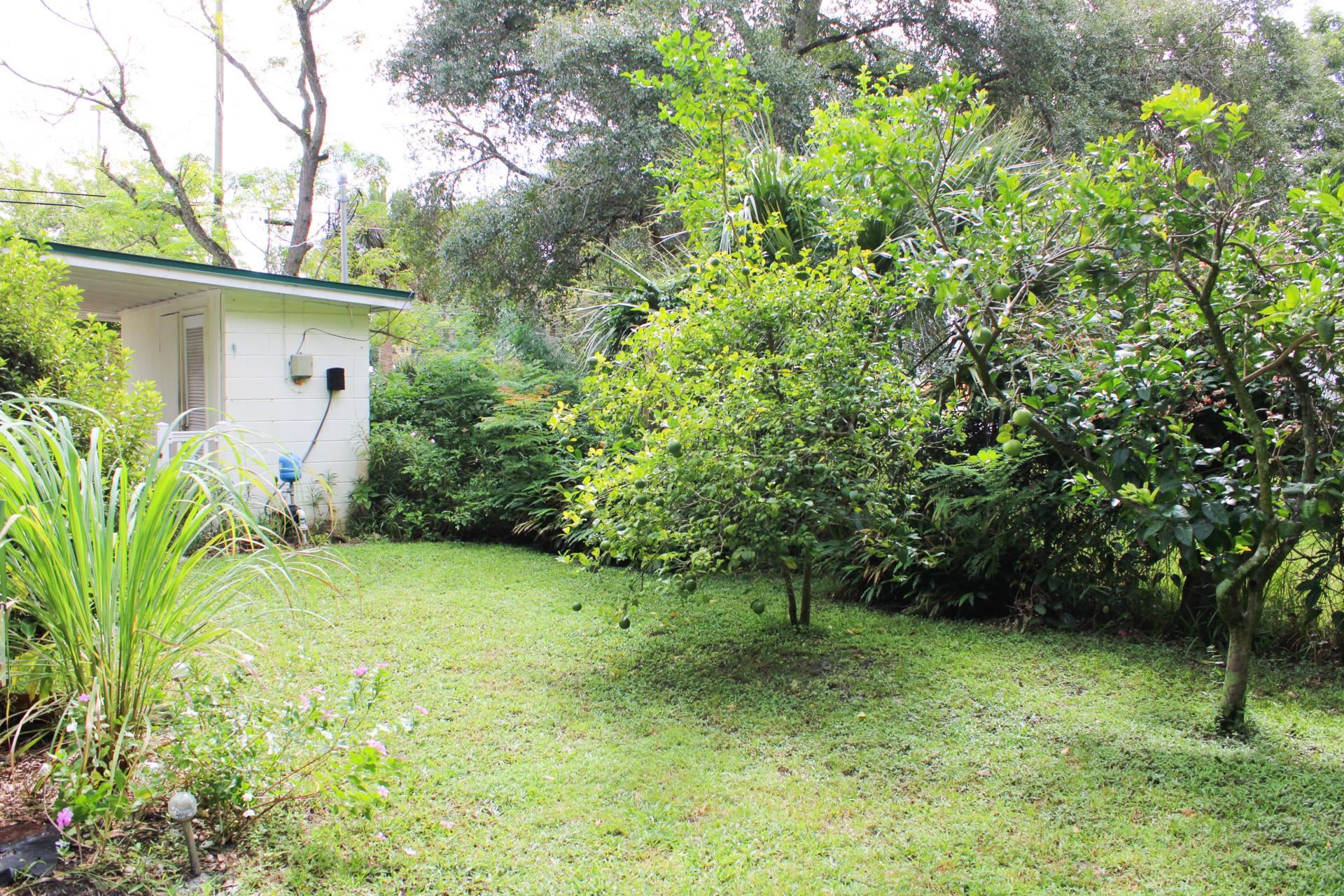 248 Spring Street St. Augustine, FL 32084 - Photo 36 of 50 a view of a back yard