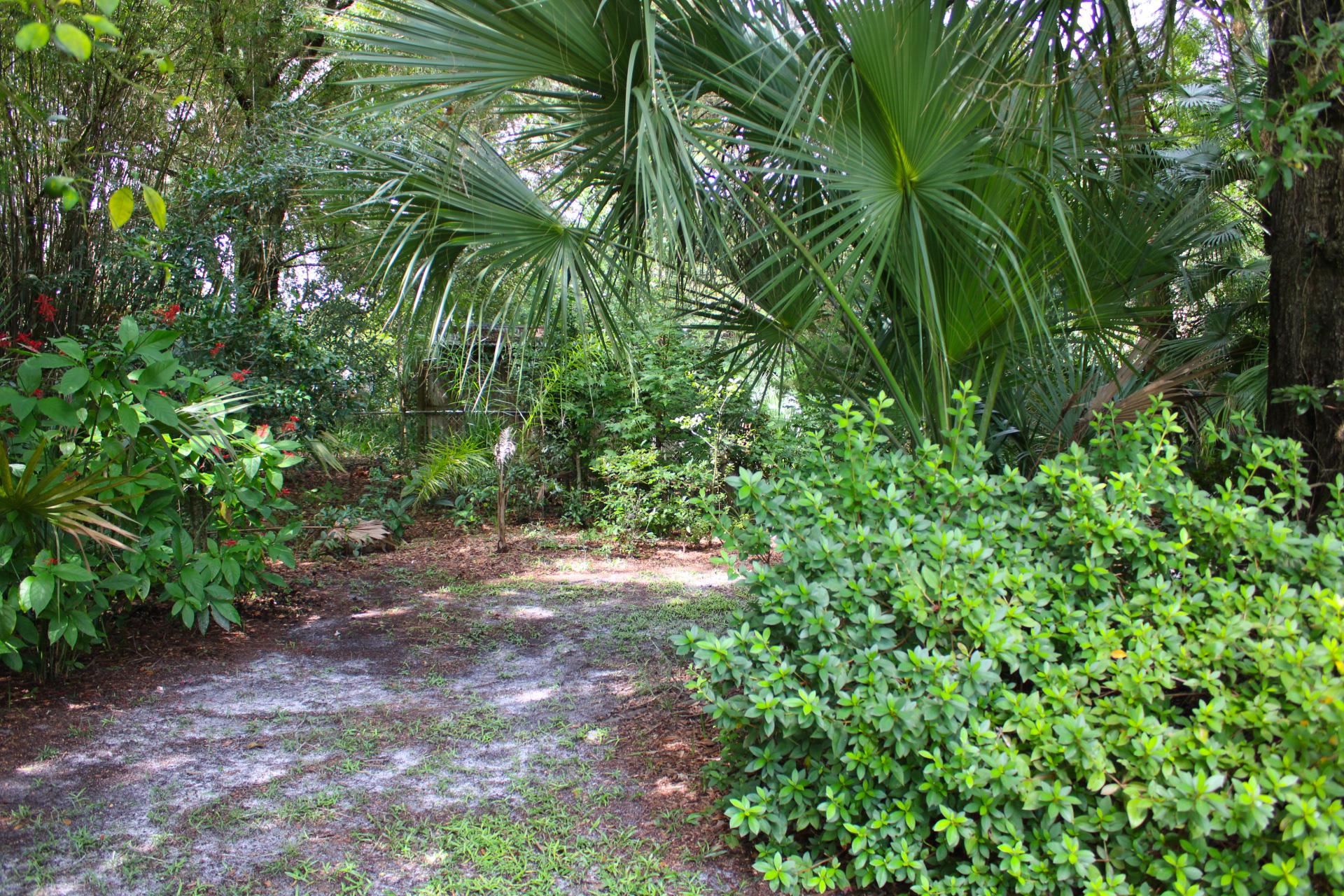 248 Spring Street St. Augustine, FL 32084 - Photo 39 of 50 a view of a yard