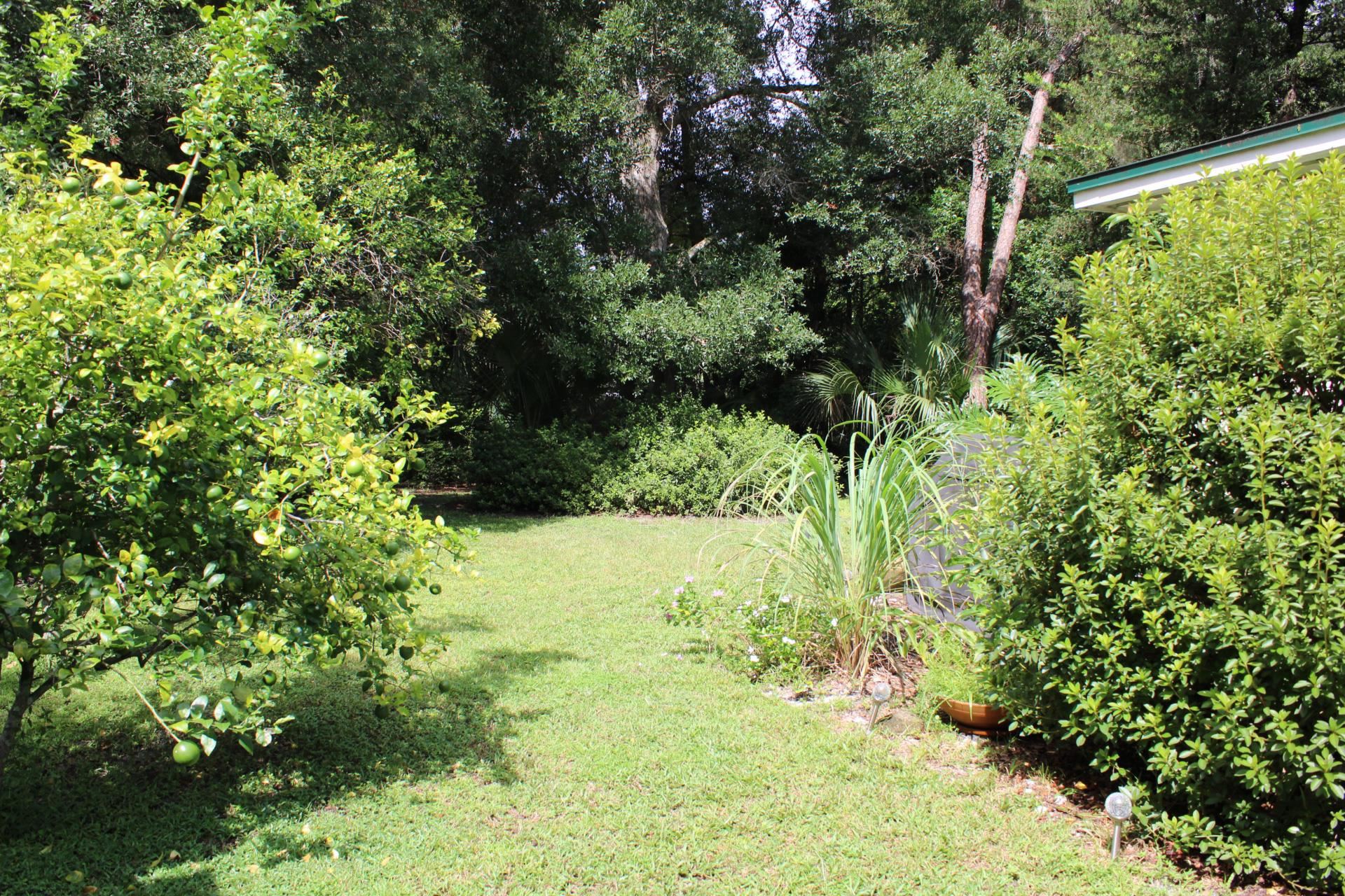 248 Spring Street St. Augustine, FL 32084 - Photo 42 of 50 a view of a garden