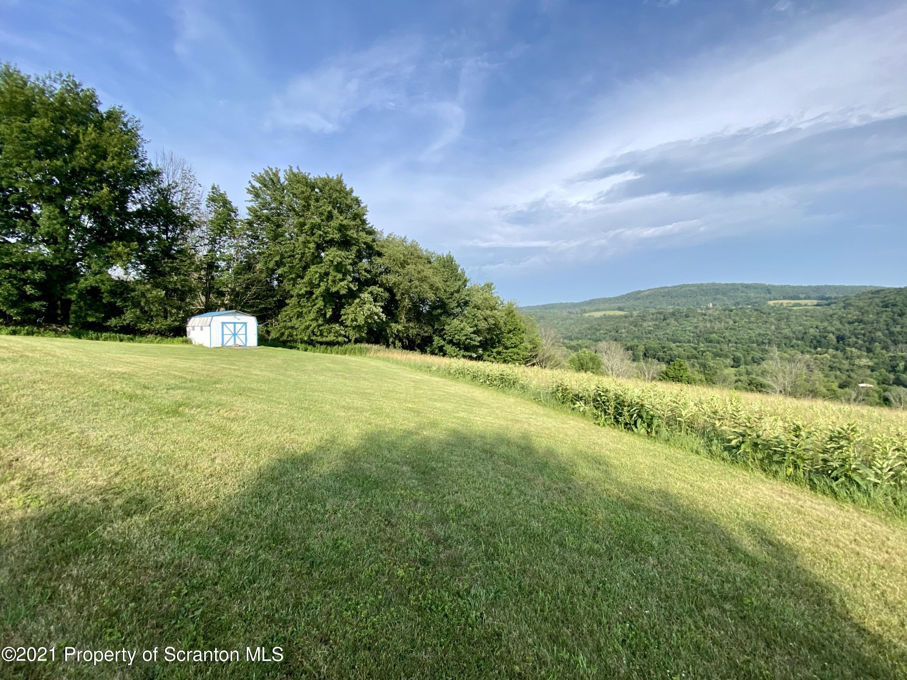 64 Thistle Hill Road Nicholson, PA 18446 - Photo 41 of 47 a view of a big yard with large trees