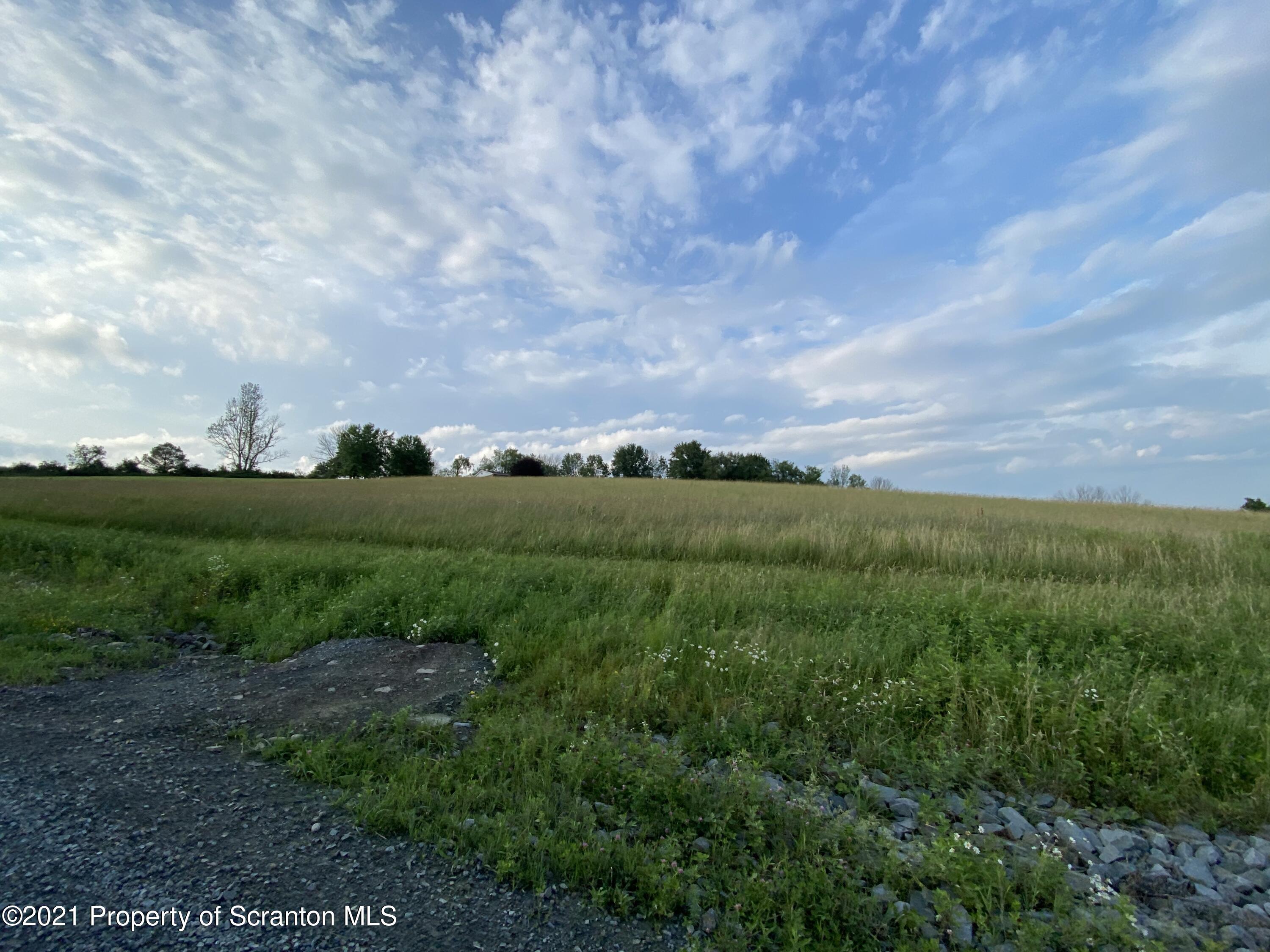 64 Thistle Hill Road Nicholson, PA 18446 - Photo 46 of 47 a view of a grassy field with trees