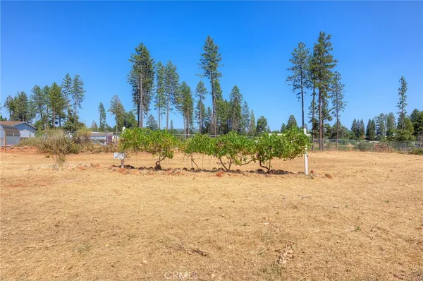 $599,000 | 6478 Lone Cedar Lane, Paradise, CA 95969