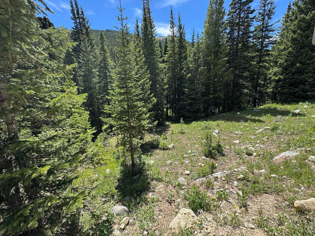 3894 4th Of July Road Nederland, CO 80466 - Photo 8 of 30 Nice flat space for tent, RV or build your off-grid cabin