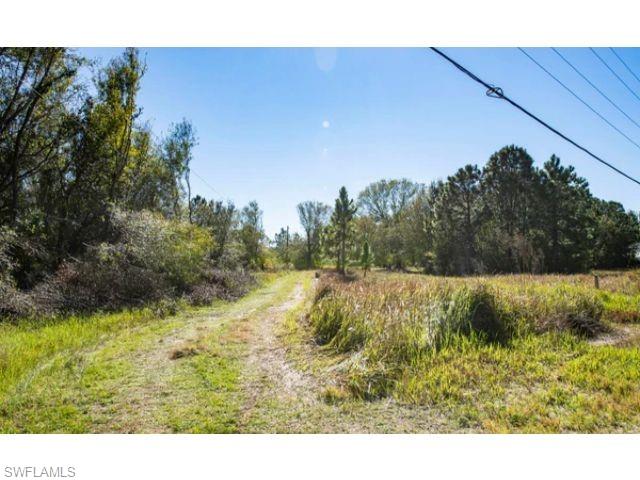 2449 North Rosedale Road Avon Park, FL 33825 - Photo 15 of 17 Gallery Image 15