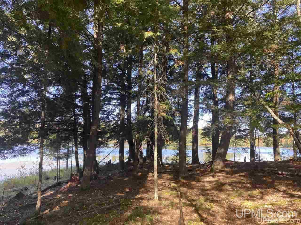 Tbd Tbd Grace Lake Road Watersmeet, MI 49969 - Photo 11 of 16 Gallery Image 11