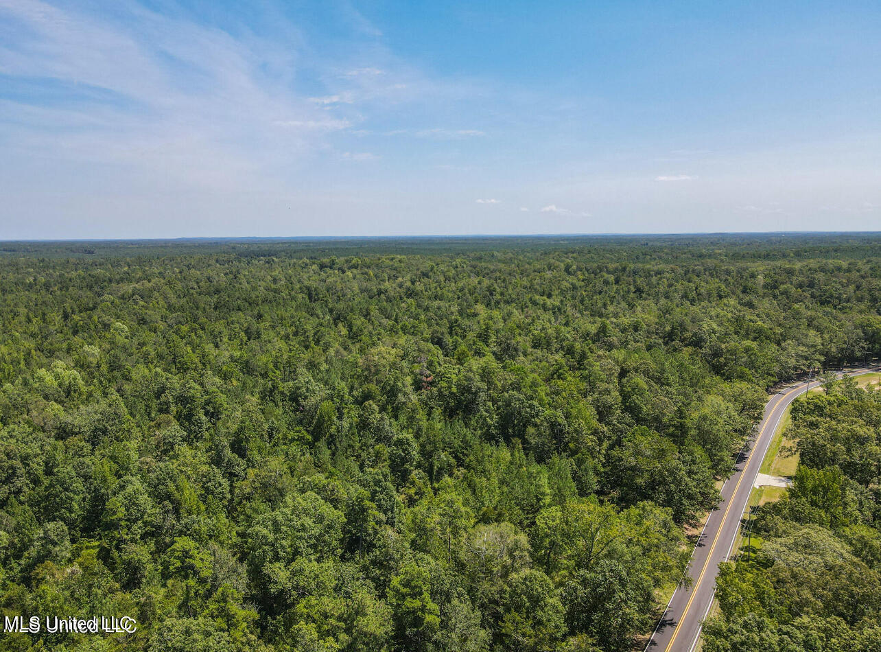 0 Shiloh Road Brandon, MS 39042 - Photo 2 of 5 IMG_9871