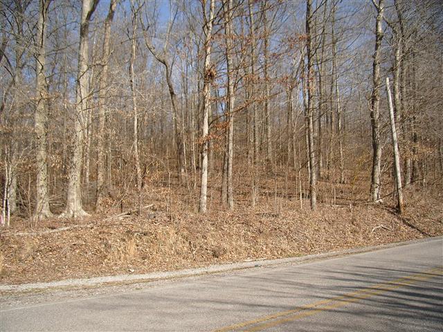 27 Bumpus Mills Road Dover, TN 37058 - Photo 2 of 6 Some standing timber, mostly wooded and rolling terrain.