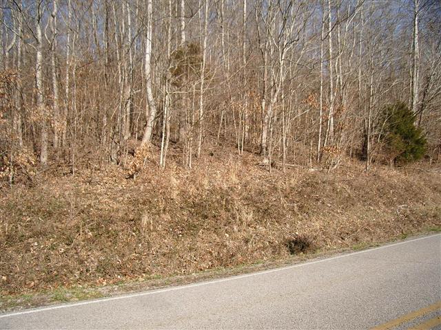 27 Bumpus Mills Road Dover, TN 37058 - Photo 3 of 6 Beautiful countryside views - across the street.