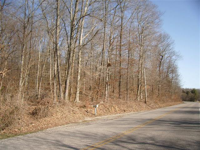 27 Bumpus Mills Road Dover, TN 37058 - Photo 4 of 6 No restrictions, no zoning. Good hunting territory.