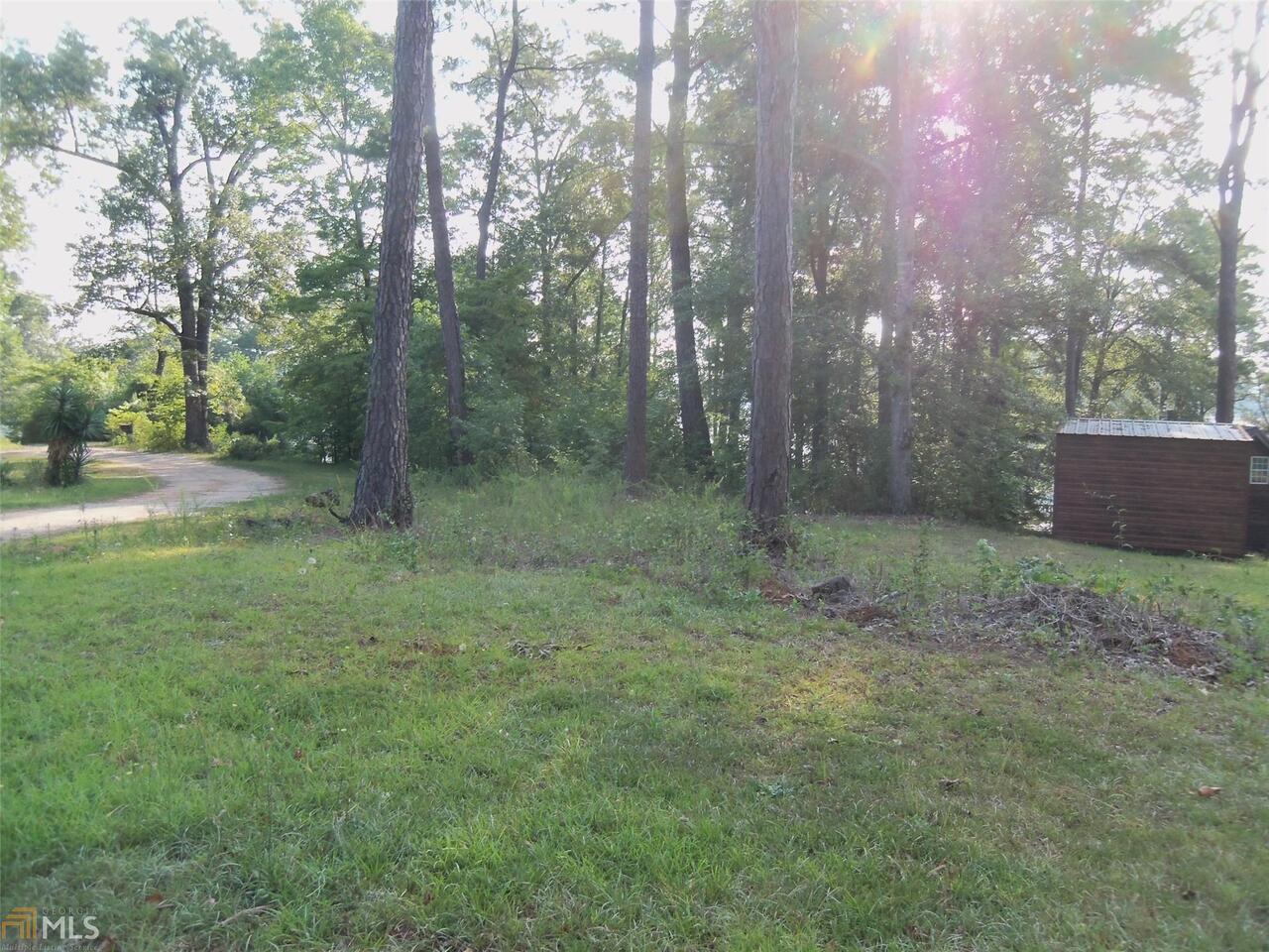 58 Thorpe Road Jackson, GA 30233 - Photo 1 of 1 a view of a forest with trees in the background