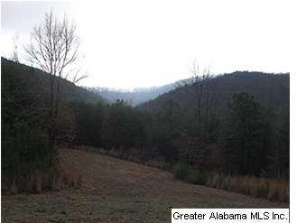 793 County Road, Unit 460 Centre, AL 35960 - Photo 10 of 11