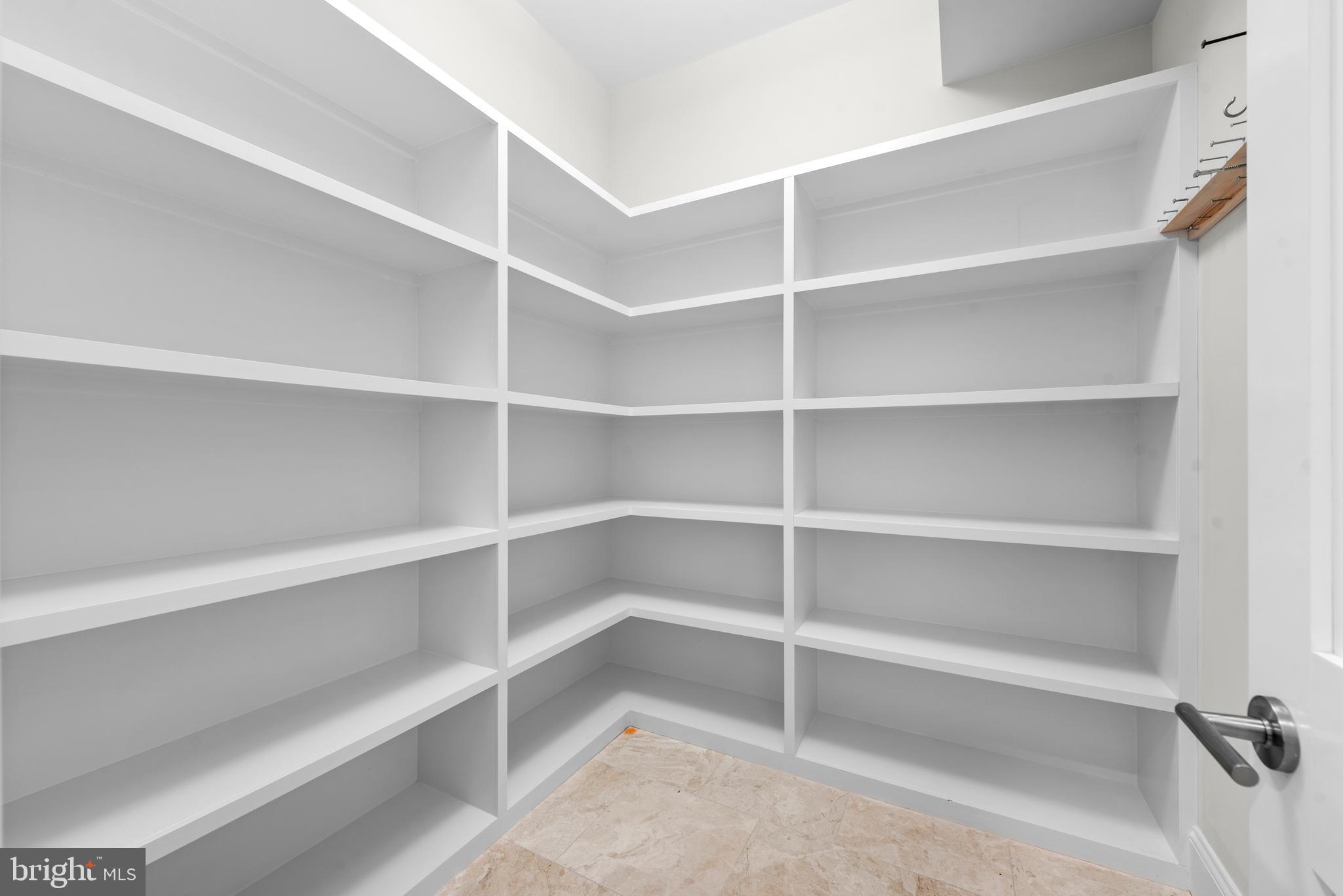 7003 Churchill Road McLean, VA 22101 - Photo 30 of 76 a view of walk in closet with empty racks