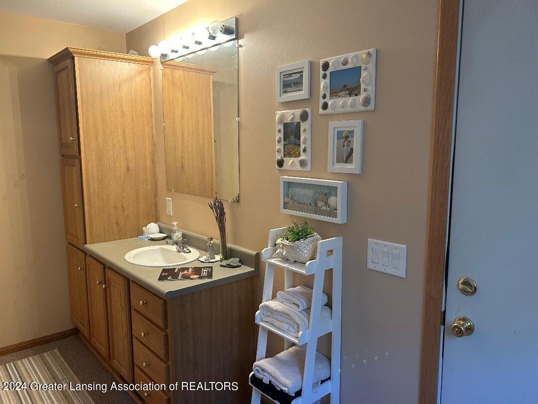 1205 North Chester Road Charlotte, MI 48813 - Photo 18 of 38 Primary Bath