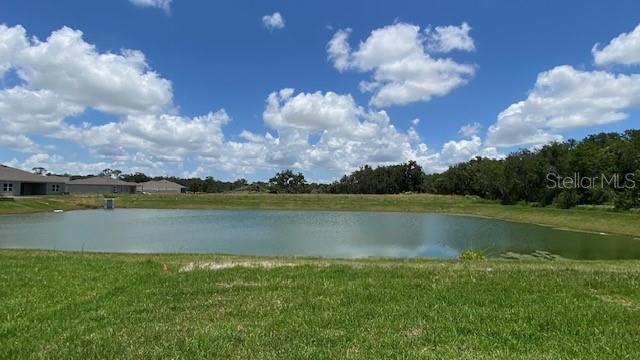 11620 61st Street East Parrish, FL 34219 - Photo 4 of 32