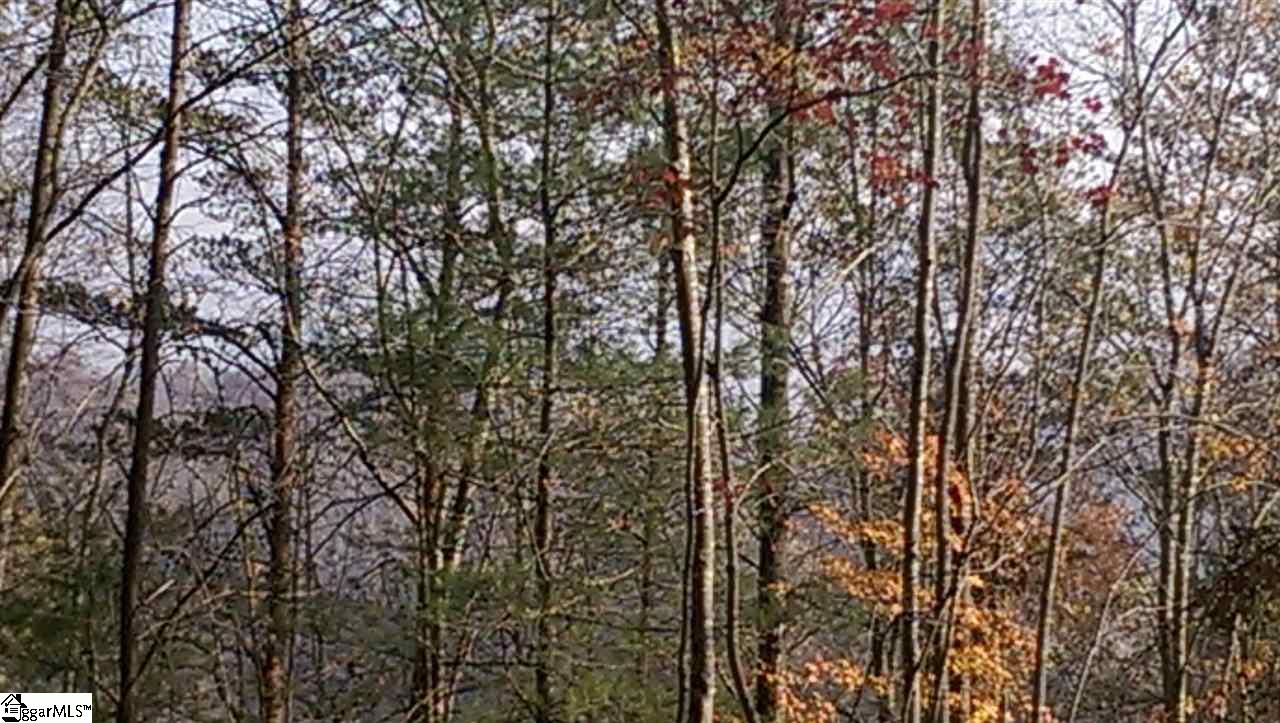 21 A Beaver Dam Road Travelers Rest, SC 29690 - Photo 3 of 7 Gallery Image 3