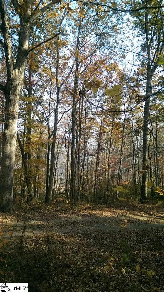 21 A Beaver Dam Road Travelers Rest, SC 29690 - Photo 5 of 7 Gallery Image 5