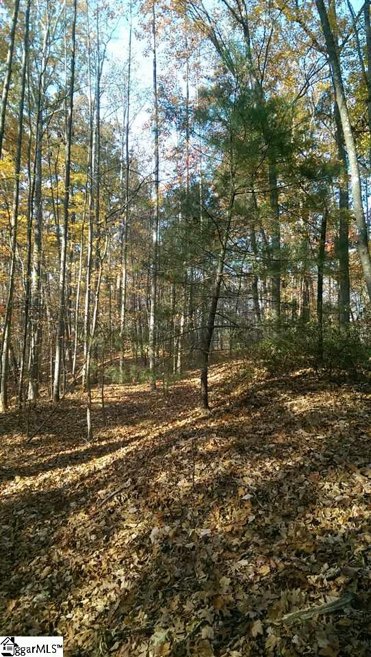 21 A Beaver Dam Road Travelers Rest, SC 29690 - Photo 7 of 7 Gallery Image 7