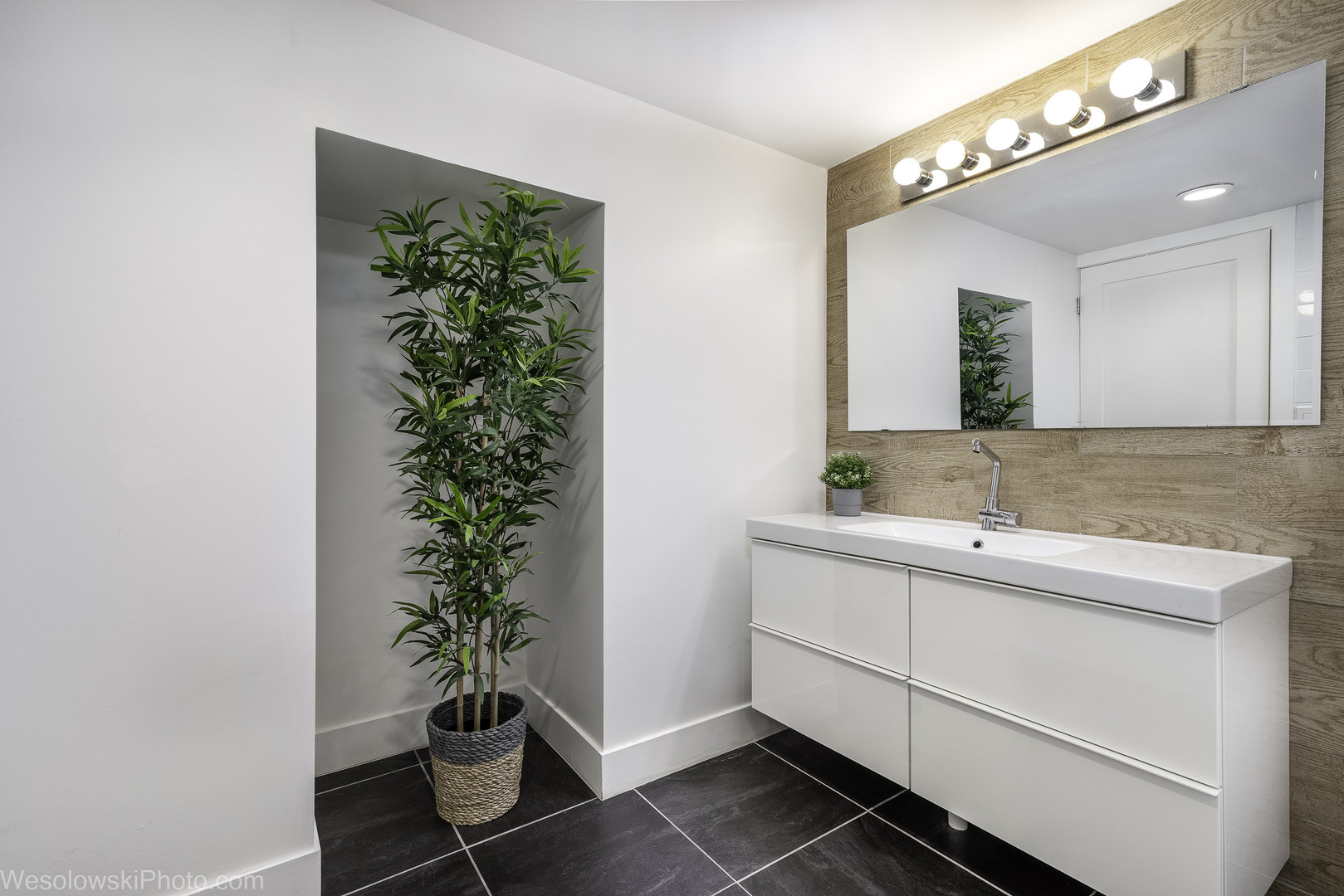 708 North Russel Street Mount Prospect, IL 60056 - Photo 16 of 30 a bathroom with a potted plant and a sink