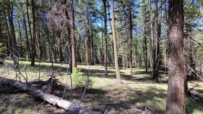 1315 Lofton Creek Road Prineville, OR 97754 - Photo 19 of 61 image000005 (9)
