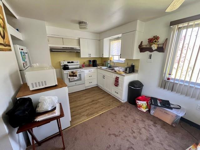 323 Bellevue Road Pittsburgh, PA 15229 - Photo 3 of 19 Rear home's kitchen