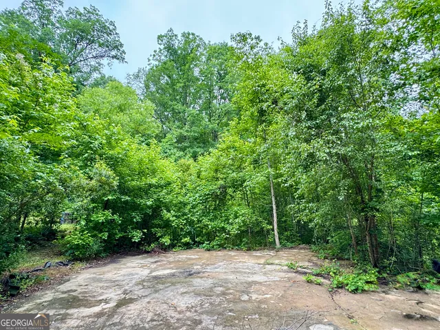 a view of a field with plants and trees