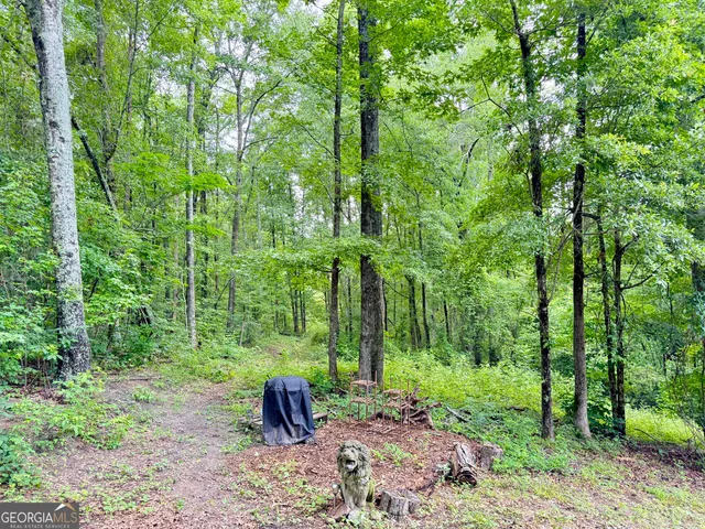 a backyard of a house with lots of trees