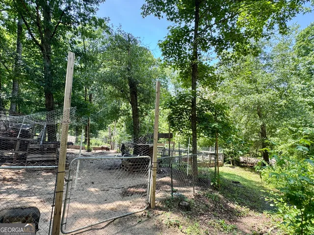 a view of a park with large trees
