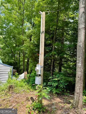 a view of a pathway with a tree