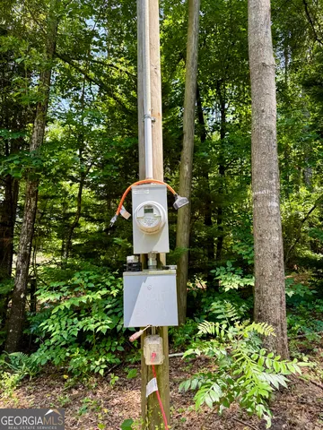 view of a house with a yard and plant