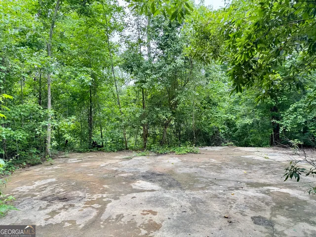 a view of a with trees