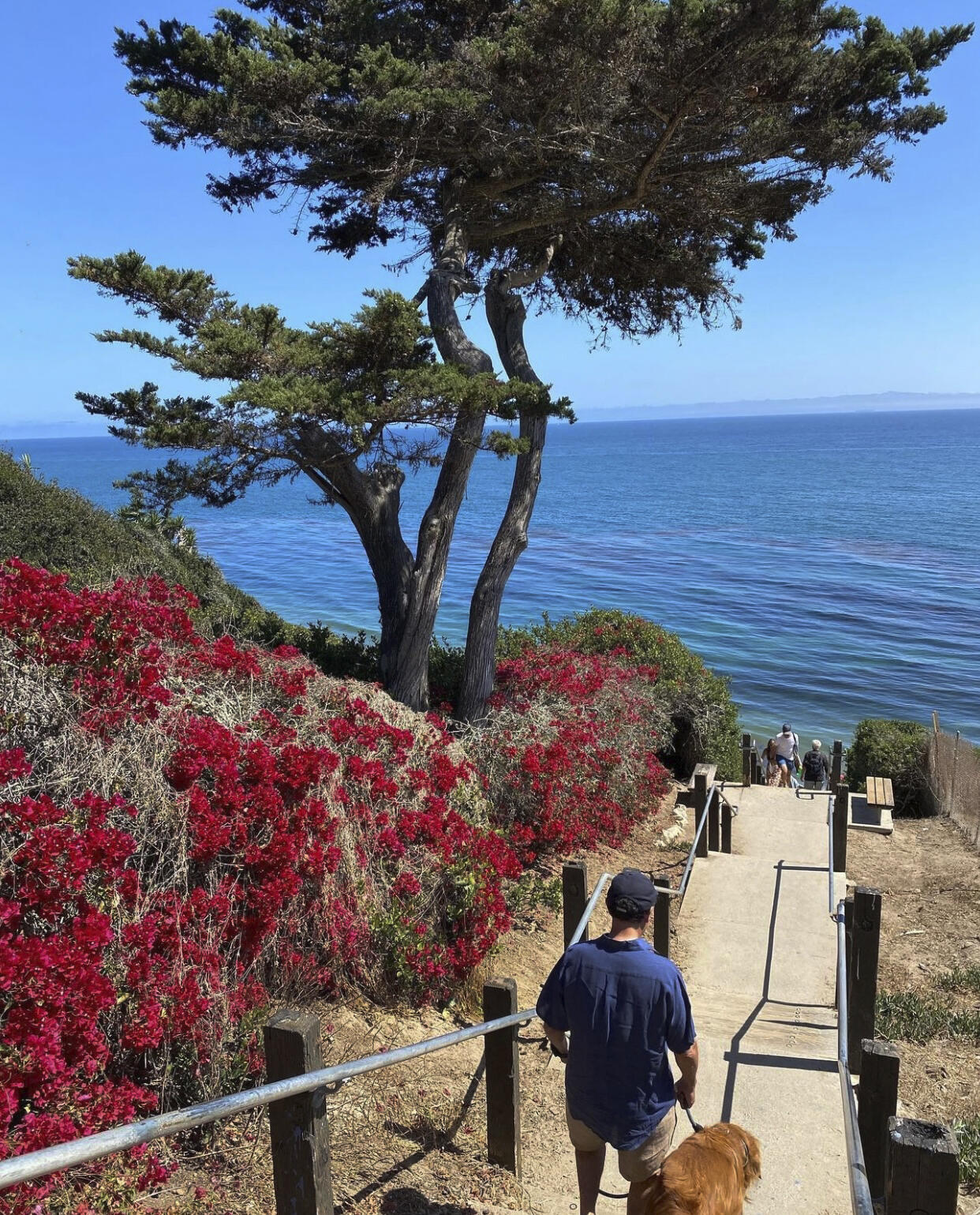 435 Fellowship Road Santa Barbara, CA 93109 - Photo 37 of 38 a group of people sitting in a yard