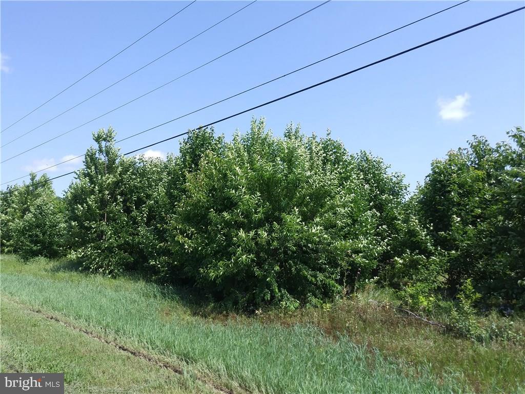 Lot 2 Wootten Road, Unit 2 Laurel, DE 19956 - Photo 1 of 1 Gallery Image 1