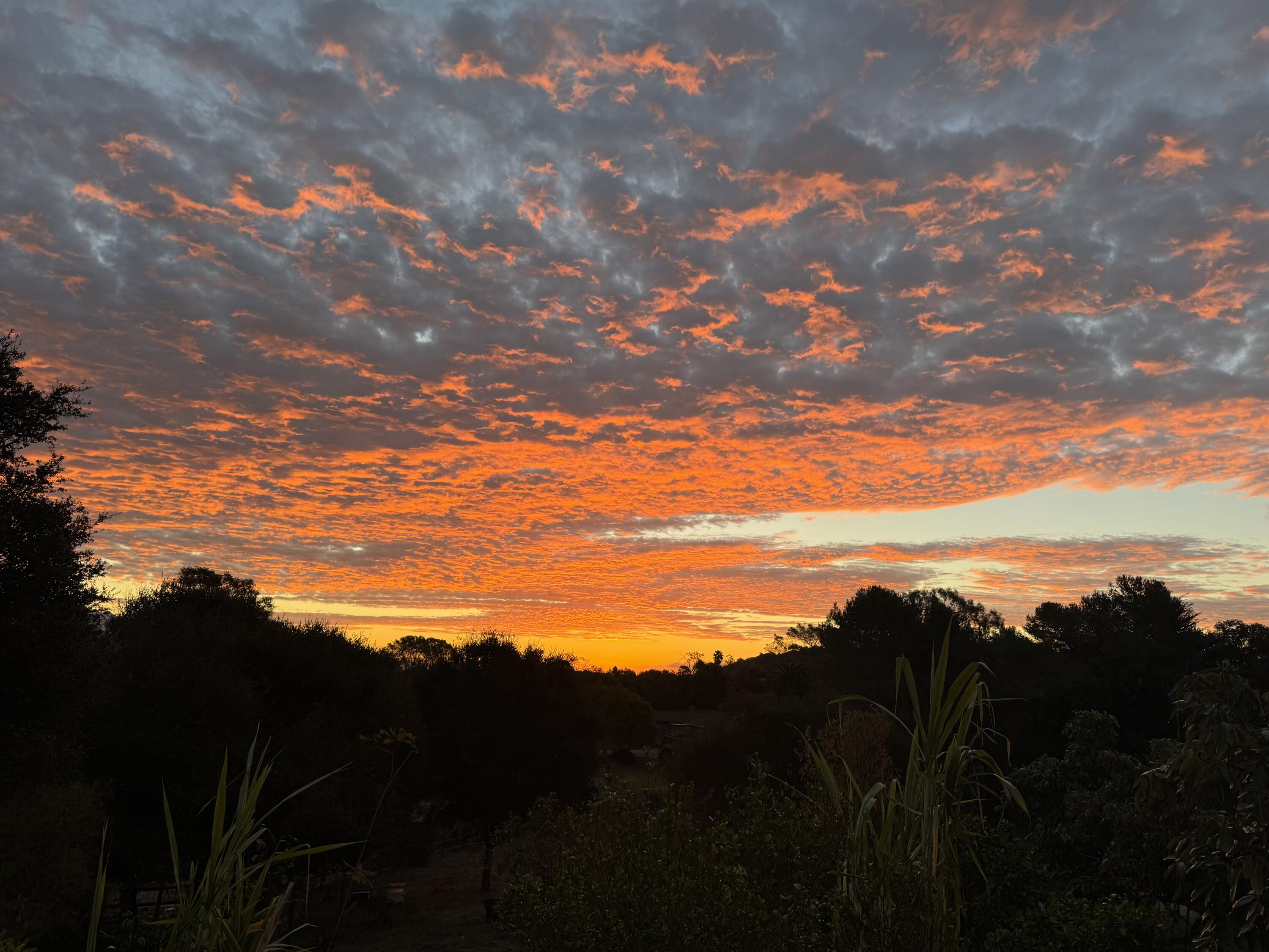 880 Veronica Springs Road Santa Barbara, CA 93105 - Photo 39 of 47 Sunrise