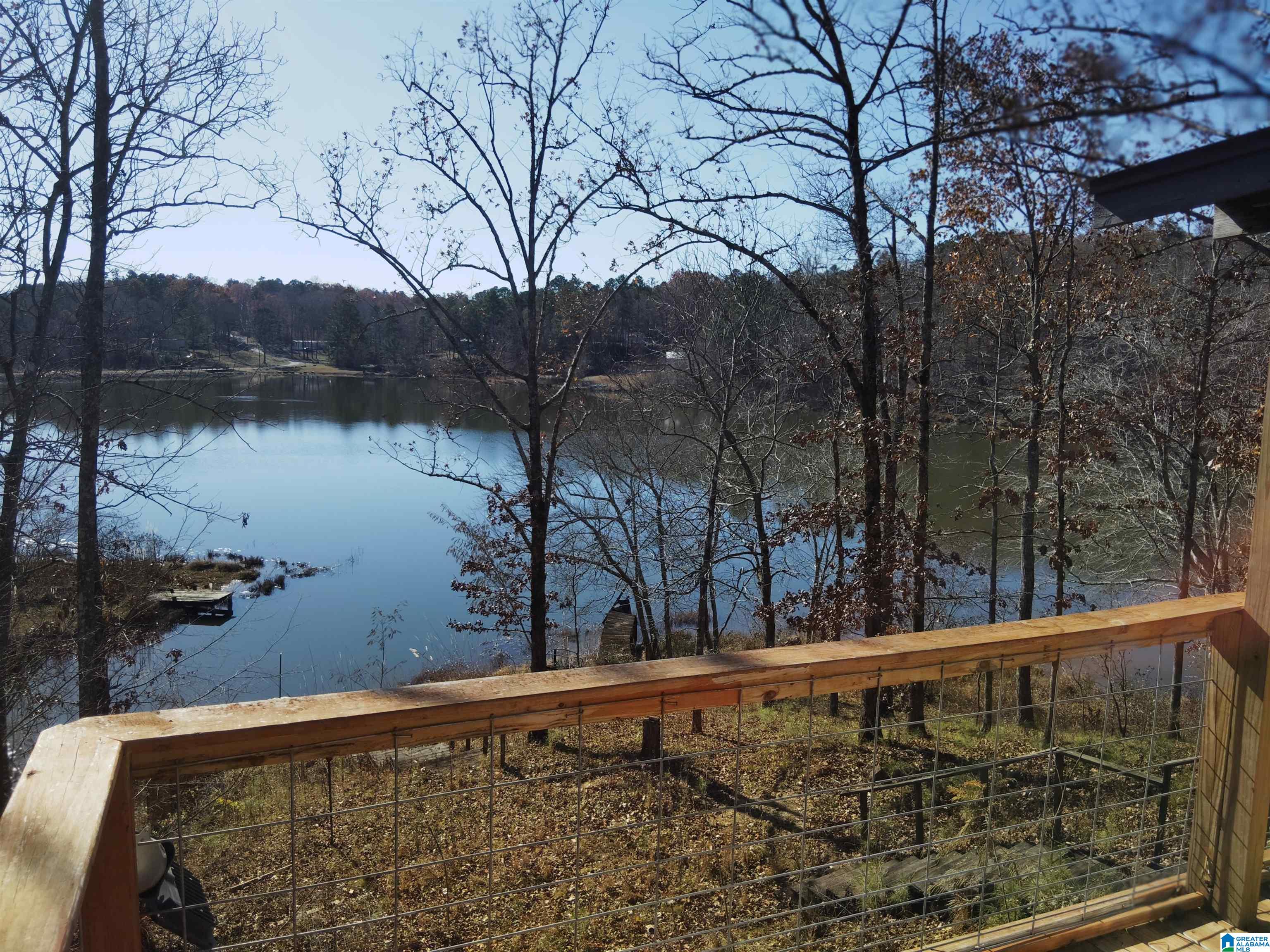 201 Lakeview Drive Oneonta, AL 35121 - Photo 2 of 18