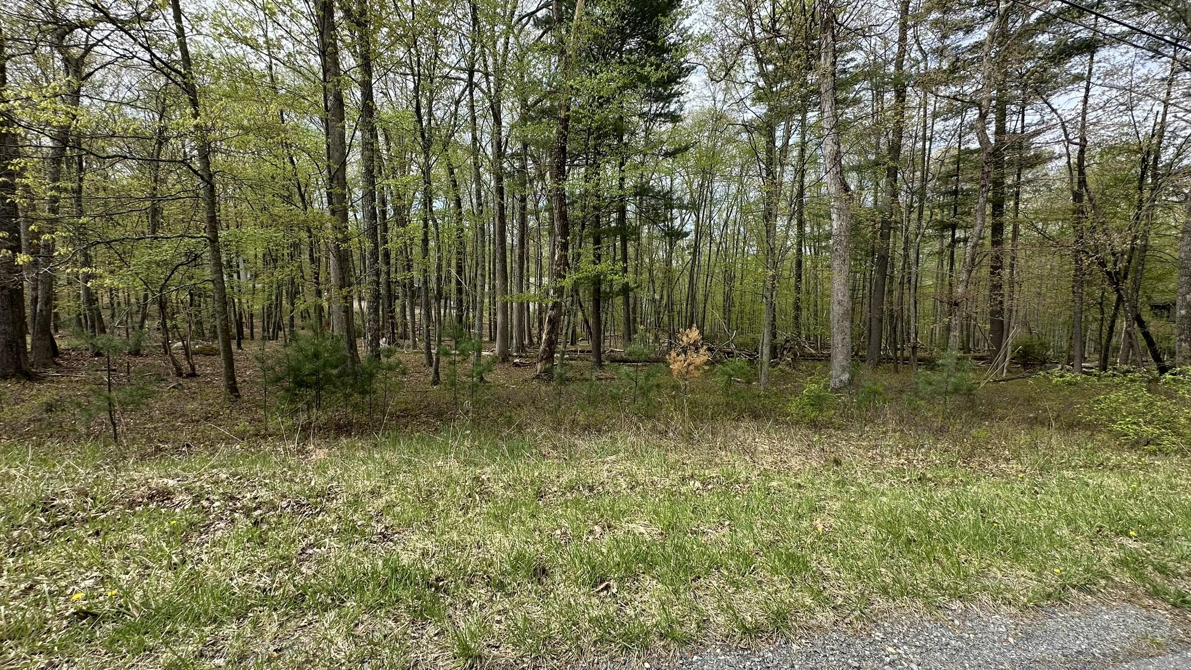 Lot 3144 Kirkham Road Bushkill, PA 18324 - Photo 3 of 5 IMG_2416