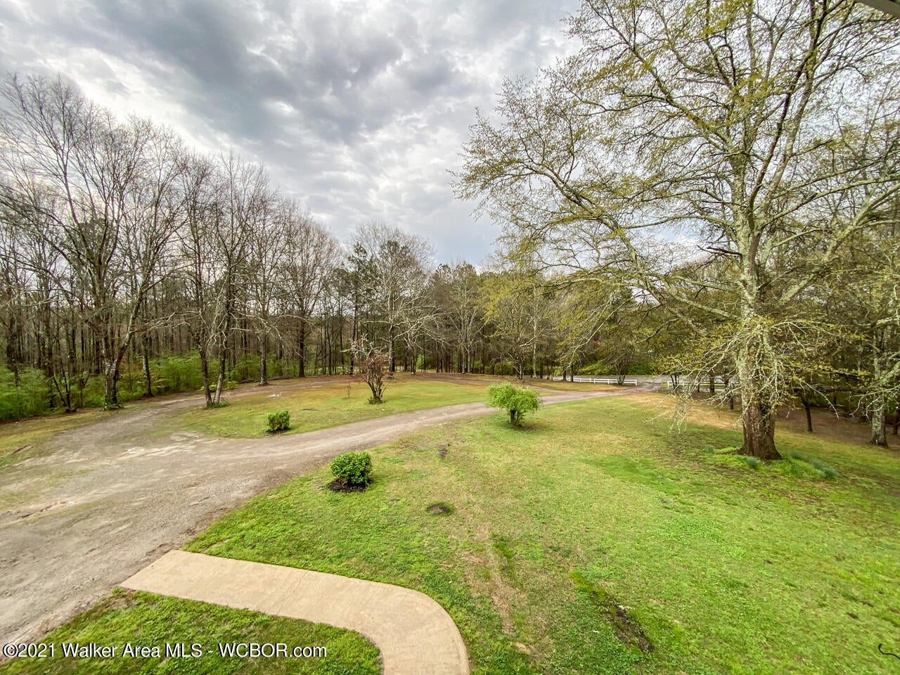787 Golf Road Jasper, AL 35504 - Photo 18 of 24 Gallery Image 18